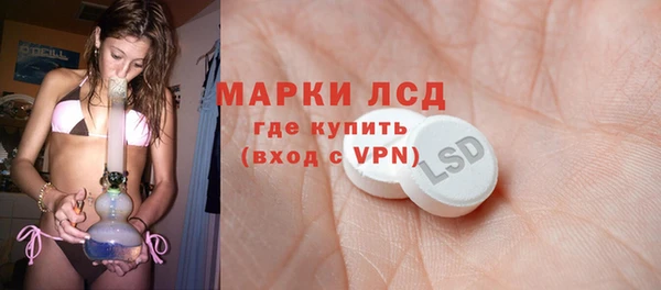 прущие грибы Абаза