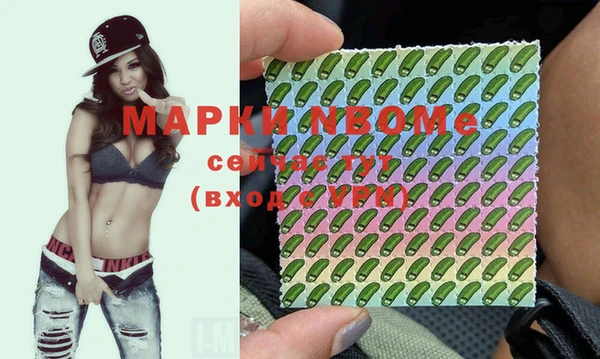 прущие грибы Абаза