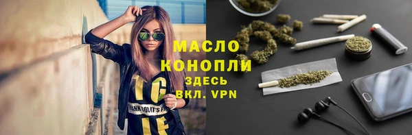 прущие грибы Абаза