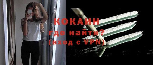 прущие грибы Абаза