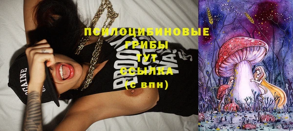 прущие грибы Абаза
