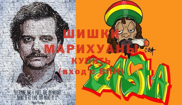 прущие грибы Абаза