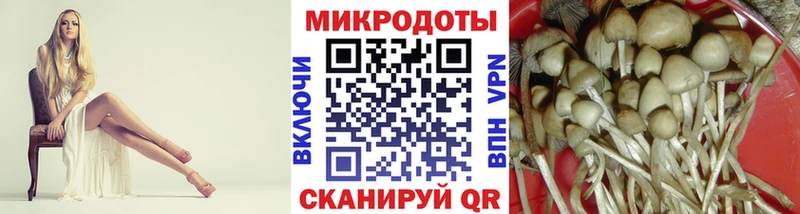 Галлюциногенные грибы прущие грибы Северская